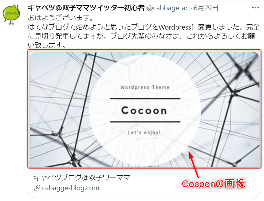 twitterカードのCocoon画像